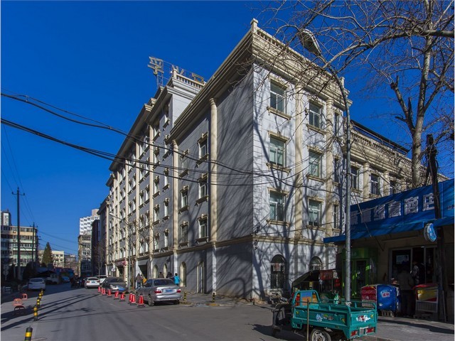 江苏香樟苗木销售服务商